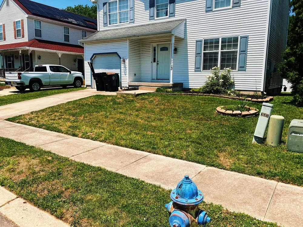 Custom yard cleanup service in Eastampton Township, NJ by Grass Doctors