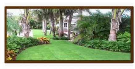 Grass Doctors Of SWFL Logo