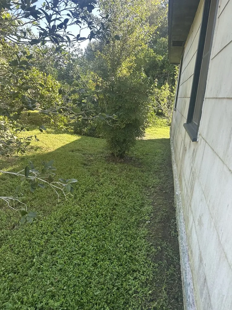 Trusted garden landscaping experts serving Harahan, LA - Grass Dude