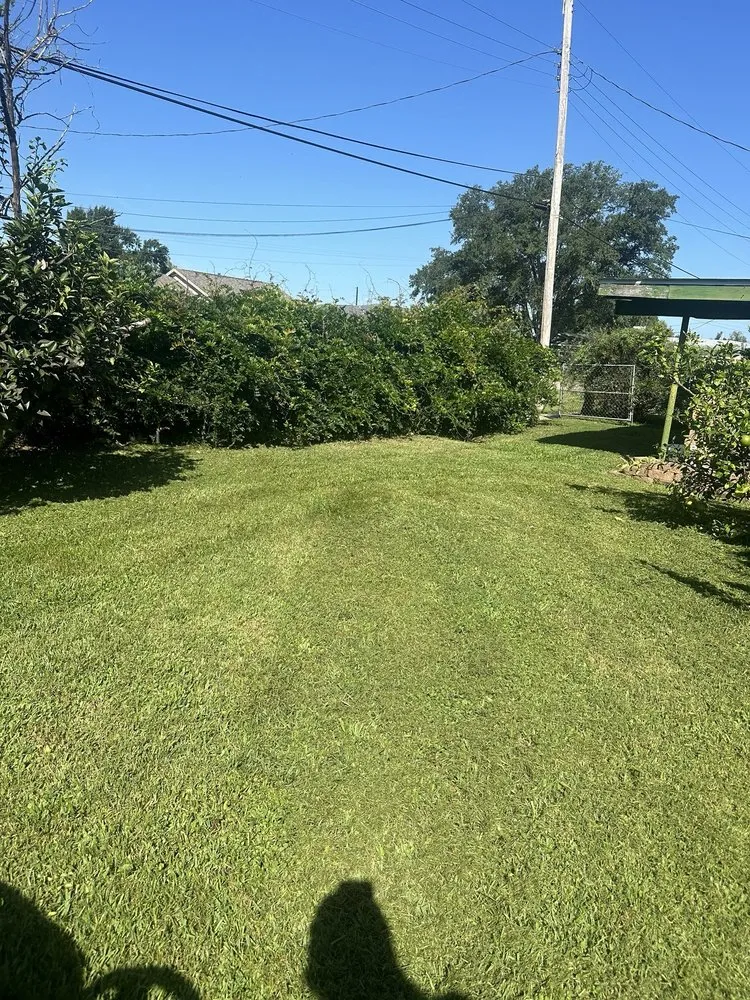 Custom lawn mowing service experts serving Harahan, LA - Grass Dude