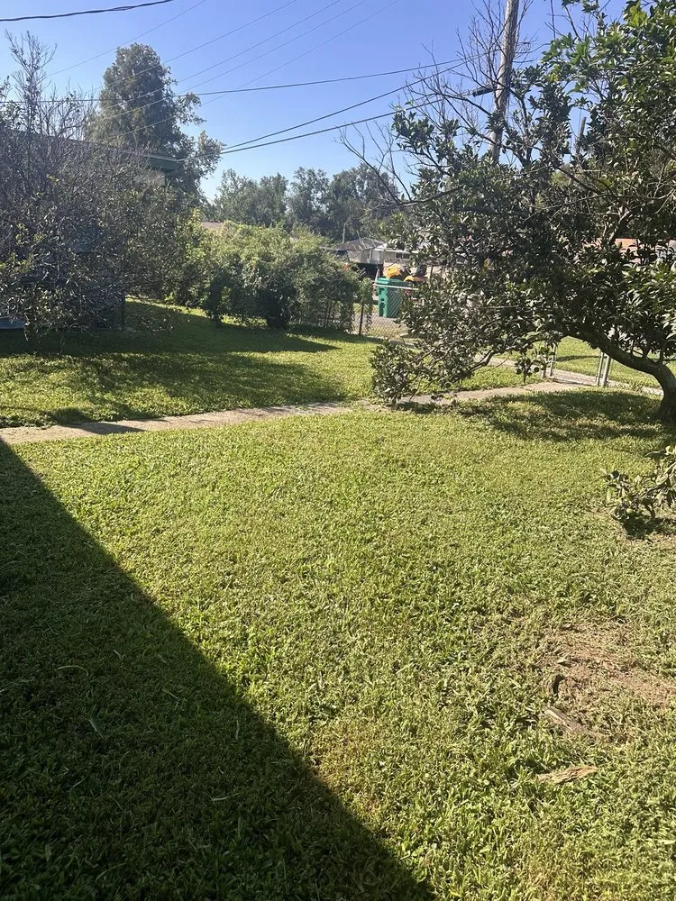 Custom yard cleanup service for residential properties across Harahan, LA - Grass Dude