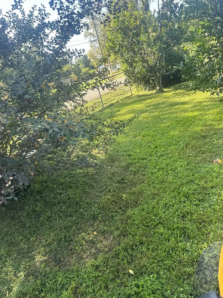 Expert landscape installation in Harahan, LA - Grass Dude