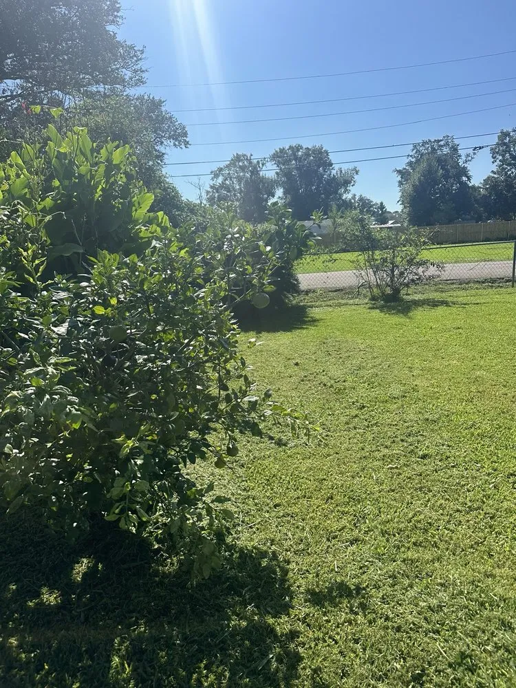 Trusted landscape design in Harahan, LA by Grass Dude