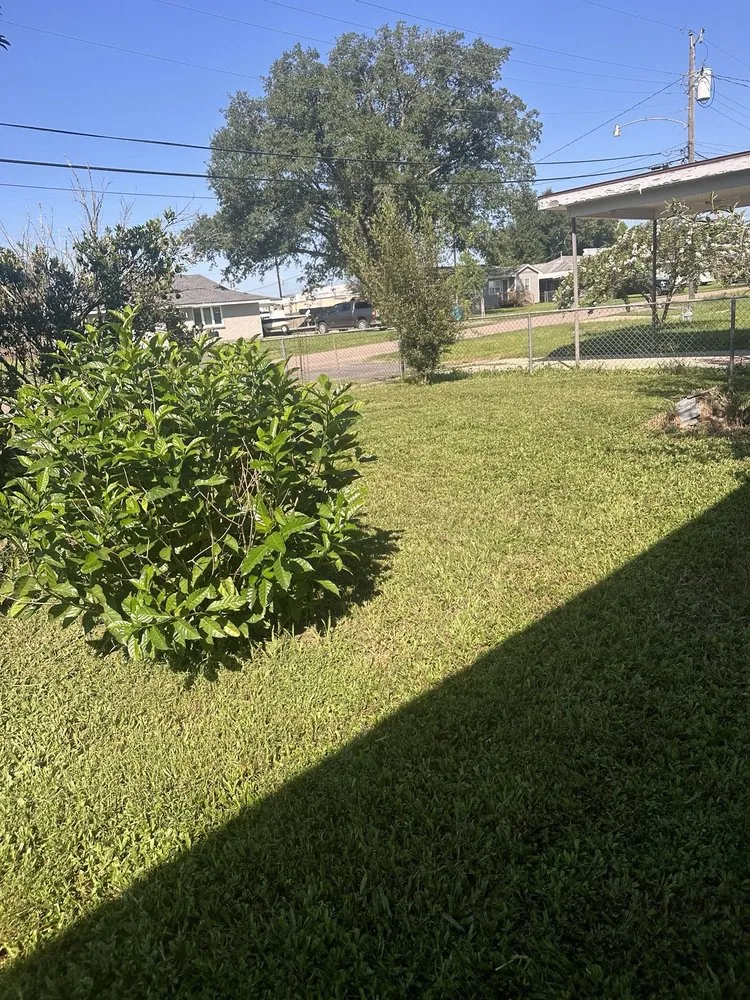Top-rated yard cleanup service in Harahan, LA - Grass Dude