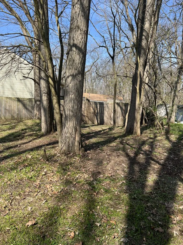 Professional landscape design in Grand Rapids, MI by Grass Eaters