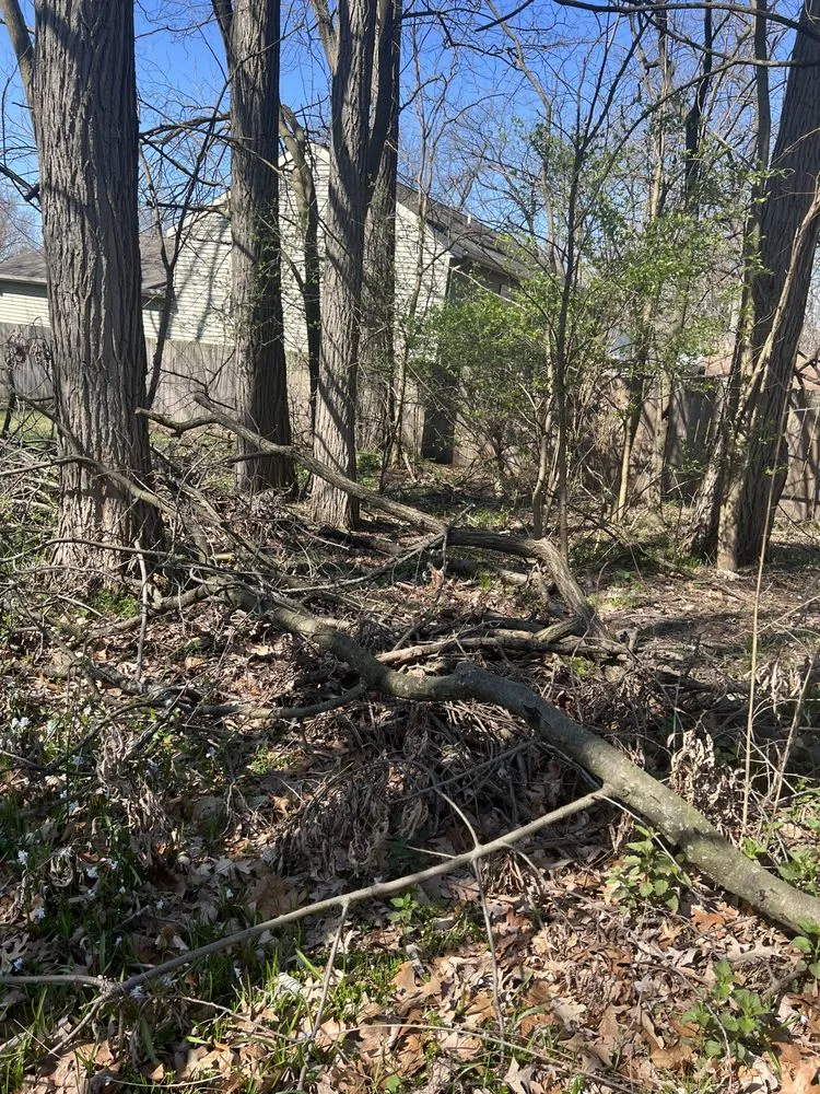 Expert landscaping services in Grand Rapids, MI - Grass Eaters