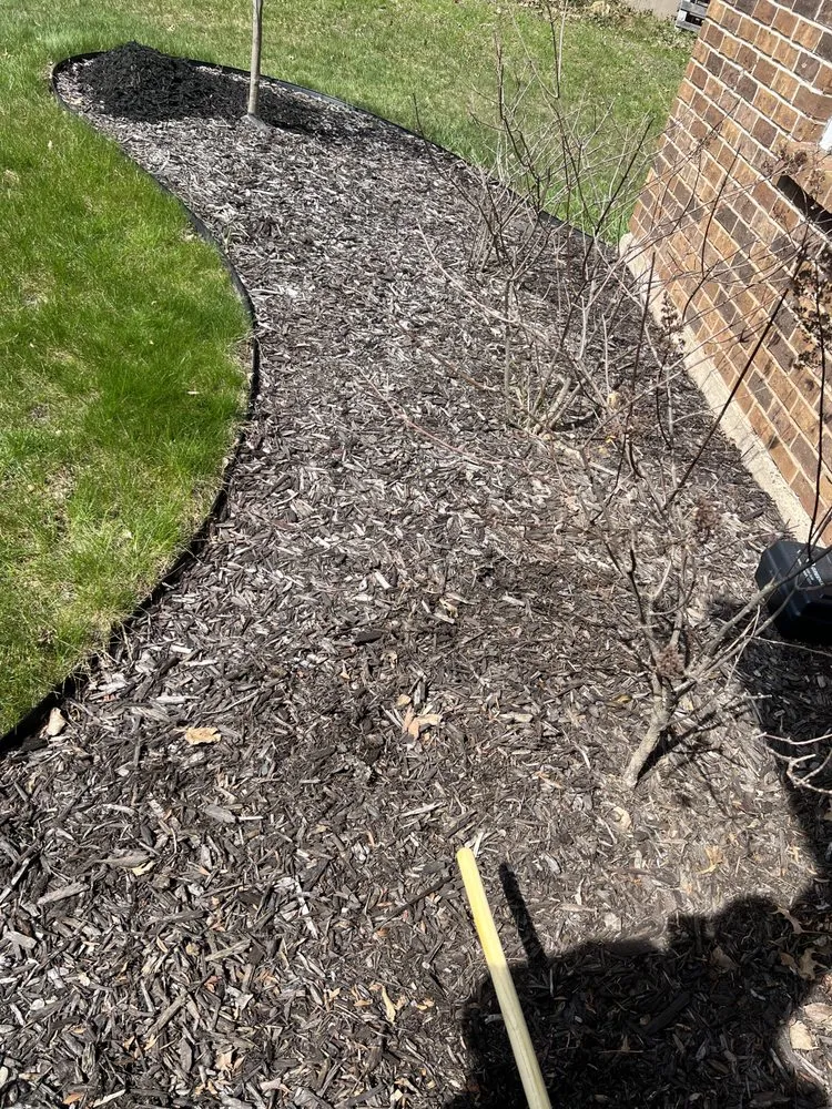 Expert yard cleanup service for outdoor upgrades in Grand Rapids, MI by Grass Eaters