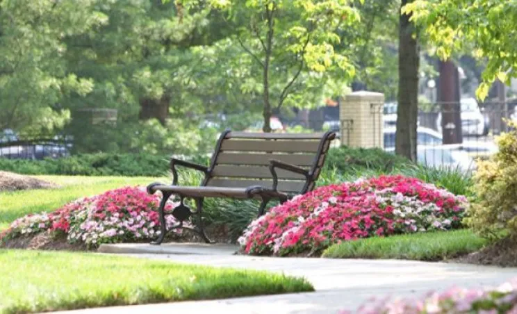 Top-rated landscape installation in Dallas, GA - Grass Envy Lawn Solutions