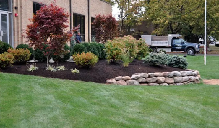 Expert yard cleanup service in Dallas, GA - Grass Envy Lawn Solutions