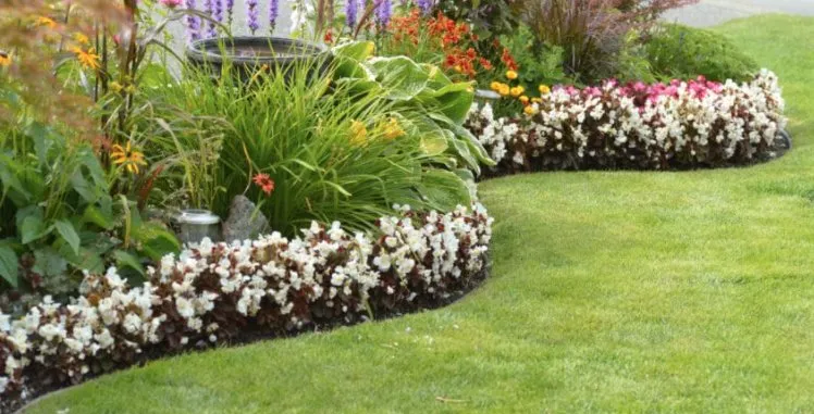 Trusted yard cleanup service for residential properties in Dallas, GA by Grass Envy Lawn Solutions