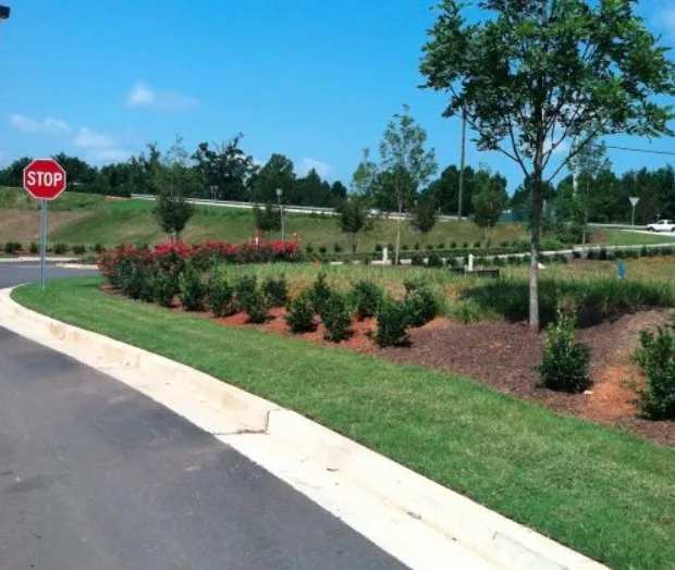 Reliable lawn mowing service with custom design across Dallas, GA - Grass Envy Lawn Solutions