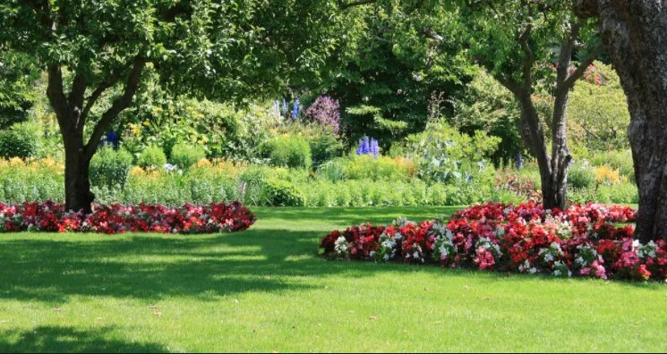 Trusted landscape design in Dallas, GA by Grass Envy Lawn Solutions