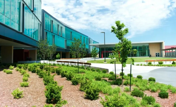 Professional garden landscaping in Dallas, GA - Grass Envy Lawn Solutions