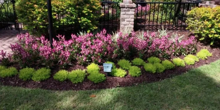 Professional residential landscaping experts serving Dallas, GA - Grass Envy Lawn Solutions