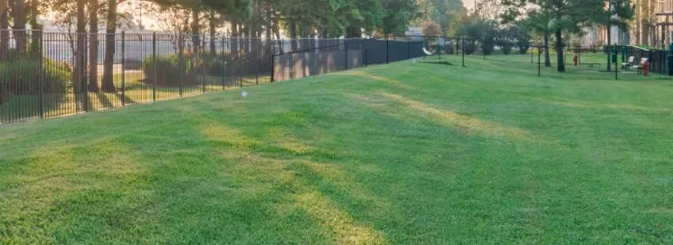 Expert landscape installation for homes in Dallas, GA by Grass Envy Lawn Solutions