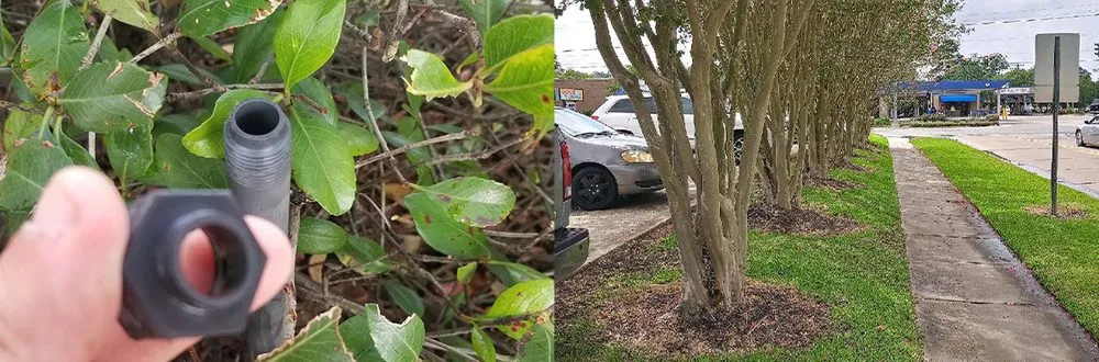 Reliable landscape installation in Sulphur, LA - Grass Etc