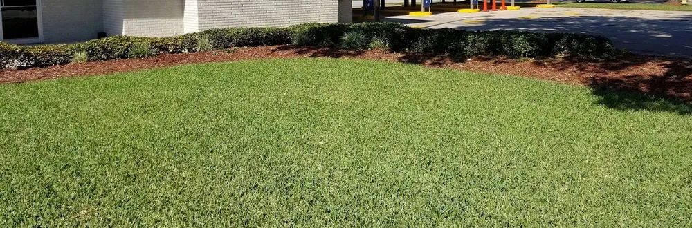 Trusted landscaping services in Sulphur, LA - Grass Etc