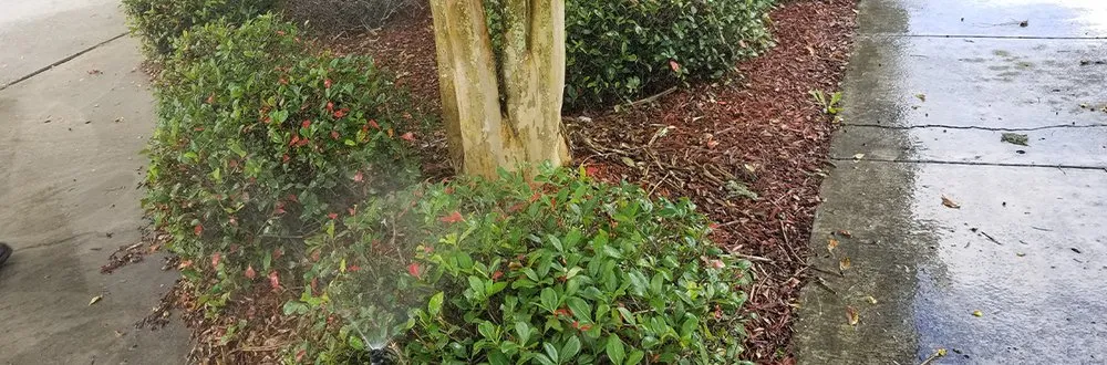 Professional landscape design in Sulphur, LA by Grass Etc