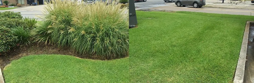 Reliable landscape design for beautiful yards in Sulphur, LA by Grass Etc