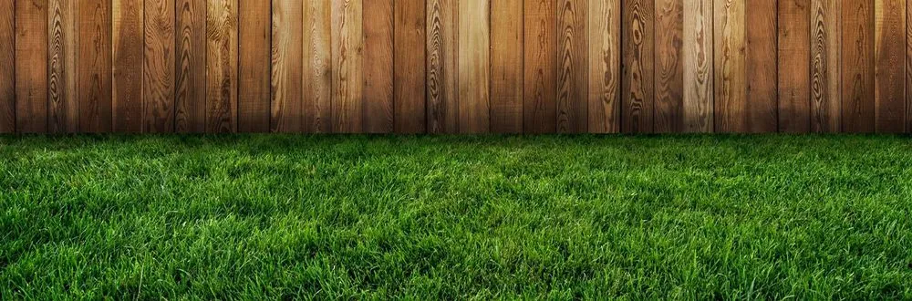 Professional yard cleanup service in Sulphur, LA by Grass Etc