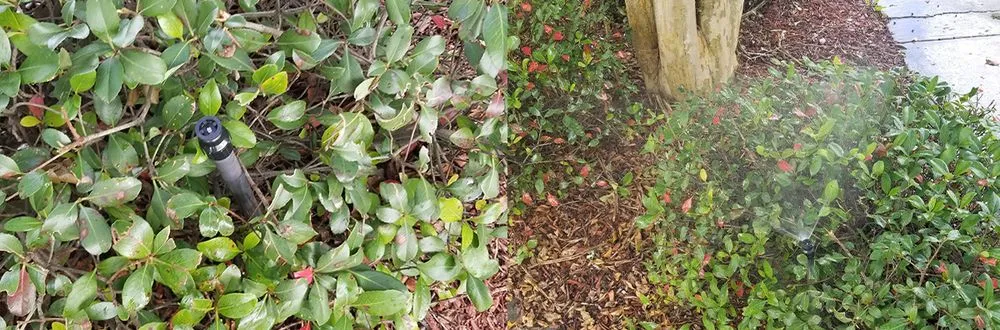 Expert landscape design with custom design across Sulphur, LA - Grass Etc