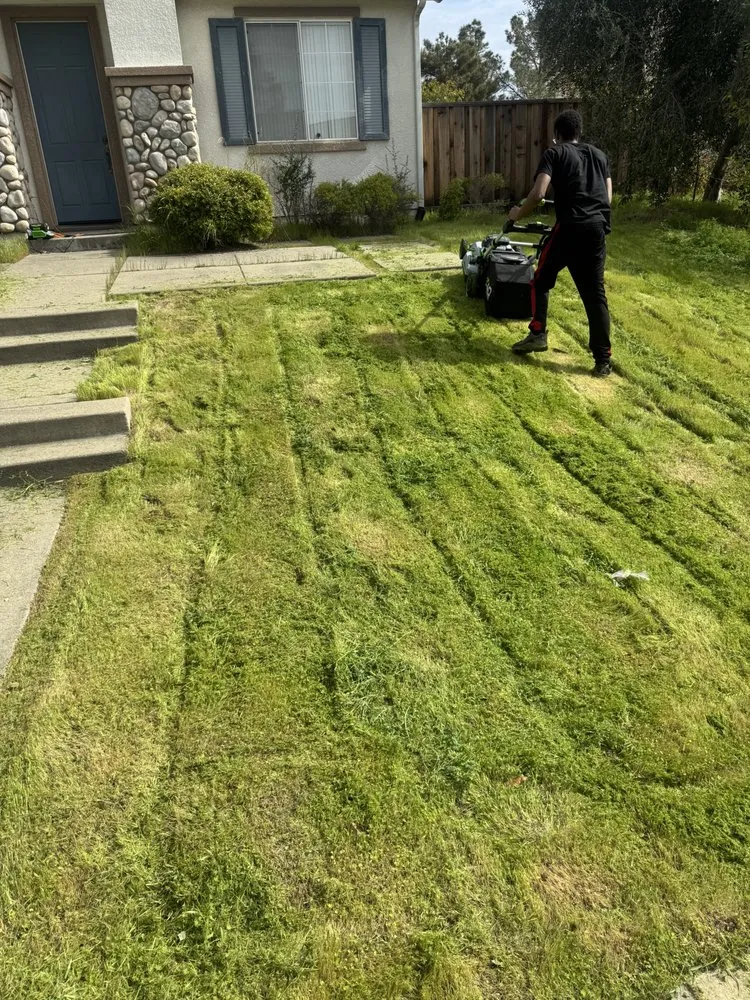 Custom landscaping services in Antioch, CA by Grass exterminators