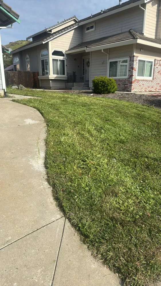 Reliable landscape installation in Antioch, CA by Grass exterminators