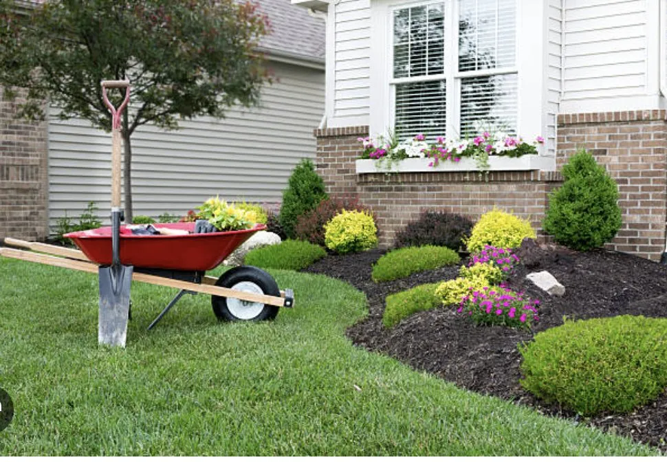 Professional outdoor landscaping for beautiful yards across Antioch, CA - Grass exterminators