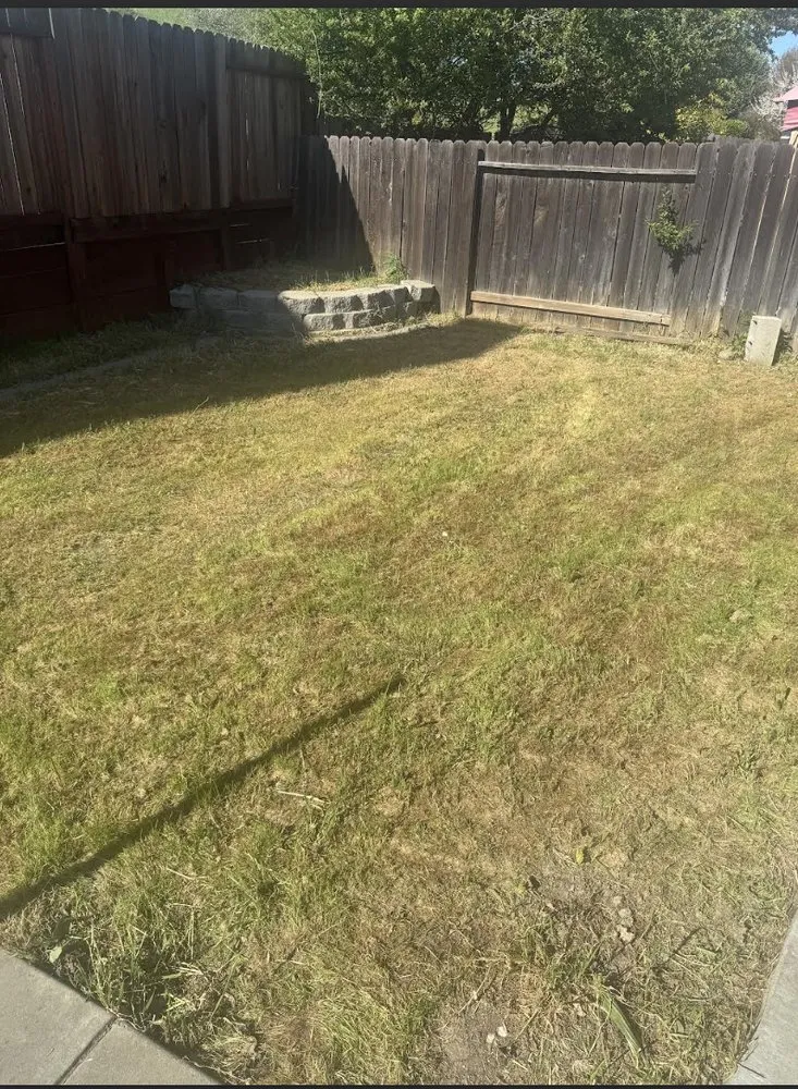 Affordable garden landscaping in Antioch, CA by Grass exterminators