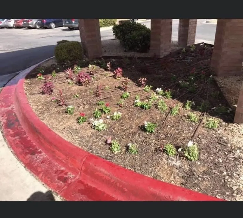 Reliable landscape installation in Midland, TX by Grass Fadez