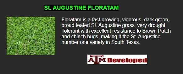 Professional landscaping services for outdoor upgrades across La Vernia, TX - Grass Farm Direct