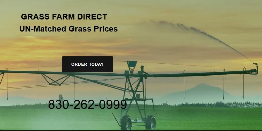Expert lawn care service with custom design across La Vernia, TX - Grass Farm Direct