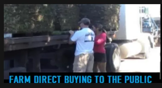 Affordable lawn mowing service experts serving La Vernia, TX - Grass Farm Direct