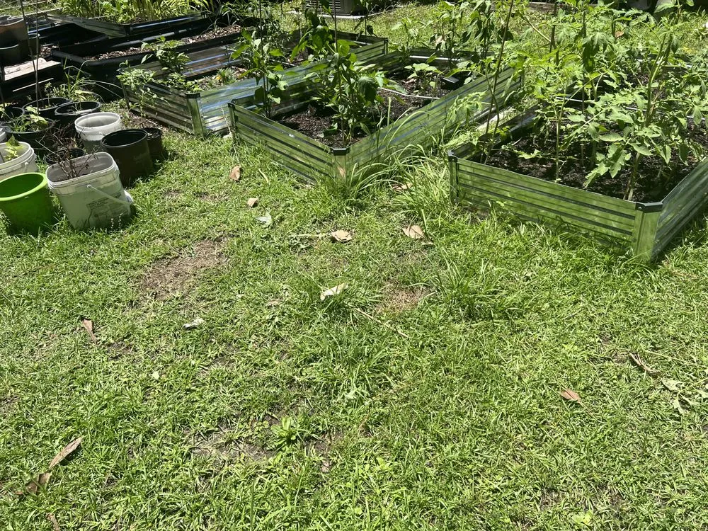 Trusted lawn care service for residential properties in Thomasville, GA by Grass Force