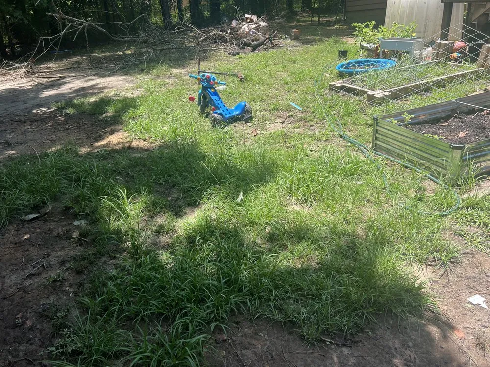 Reliable landscape design in Thomasville, GA - Grass Force