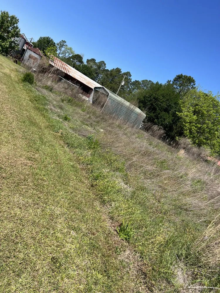 Trusted residential landscaping in Thomasville, GA by Grass Force