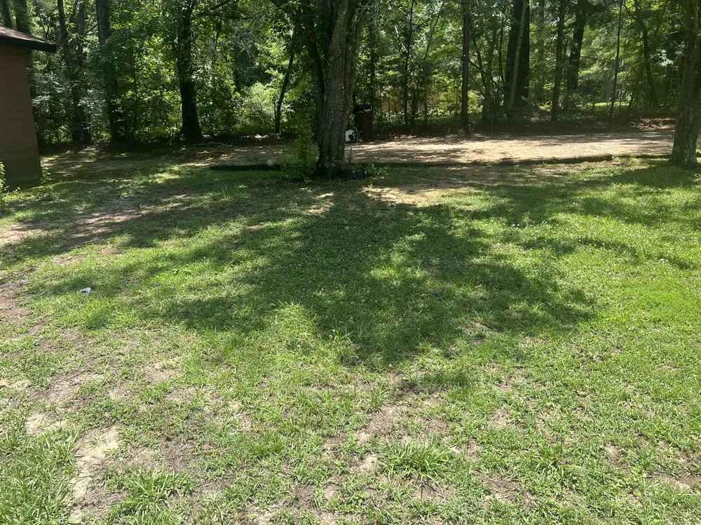 Reliable lawn mowing service experts serving Thomasville, GA - Grass Force