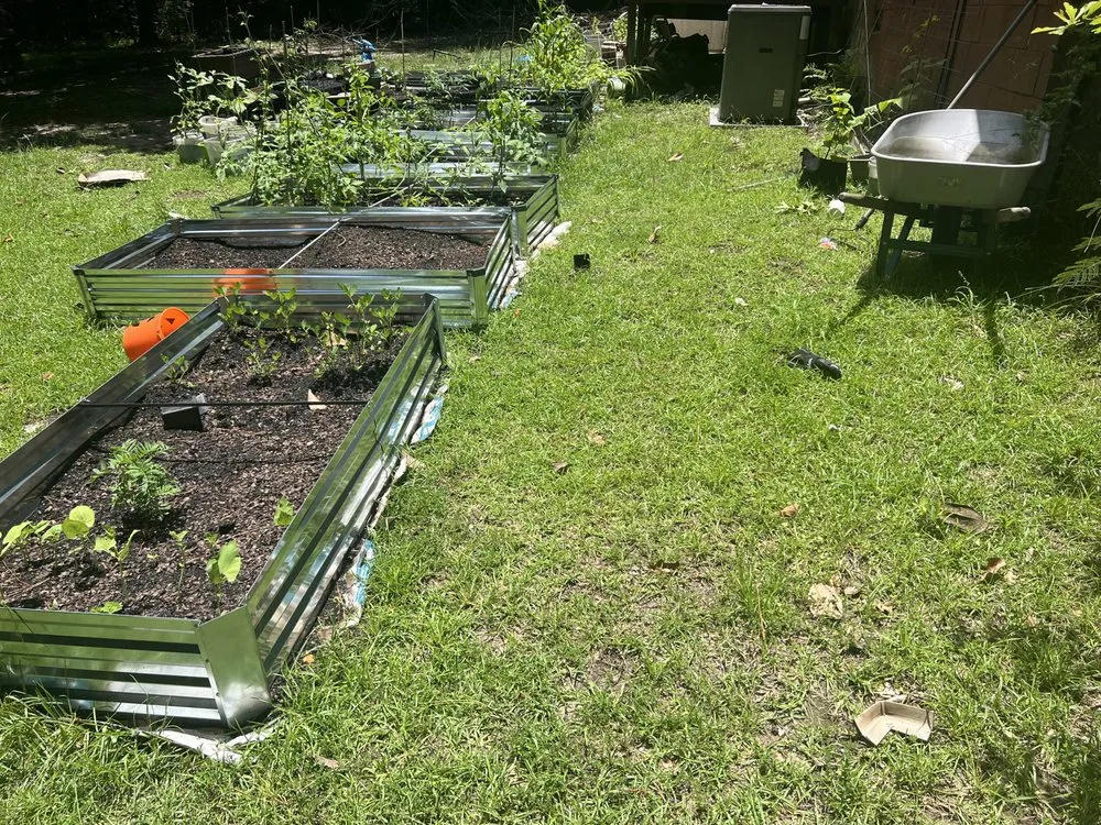 Professional yard cleanup service experts serving Thomasville, GA - Grass Force