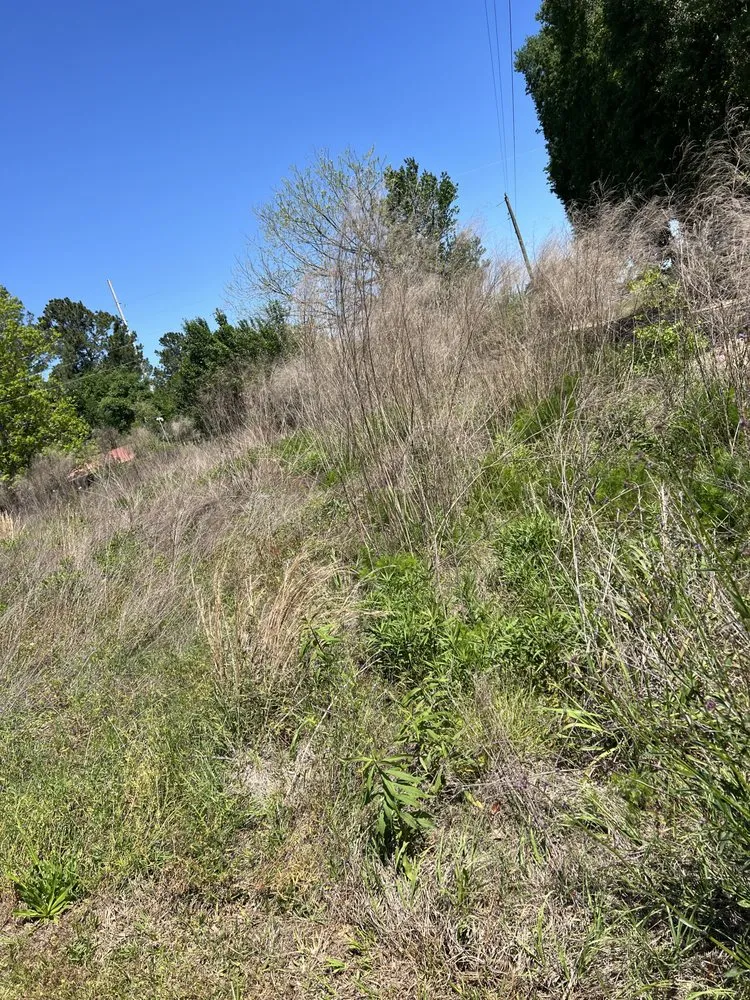 Top-rated yard cleanup service in Thomasville, GA by Grass Force