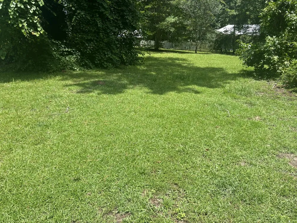 Local yard cleanup service for residential properties across Thomasville, GA - Grass Force