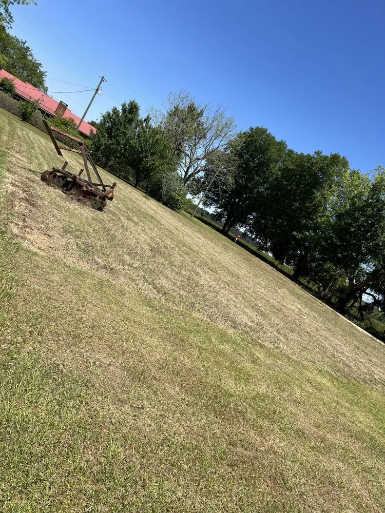 Expert outdoor landscaping for beautiful yards in Thomasville, GA by Grass Force