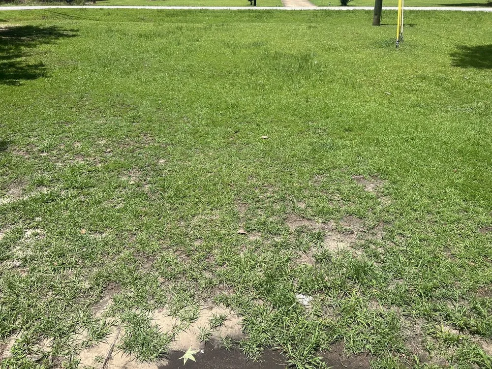 Trusted lawn care service in Thomasville, GA by Grass Force