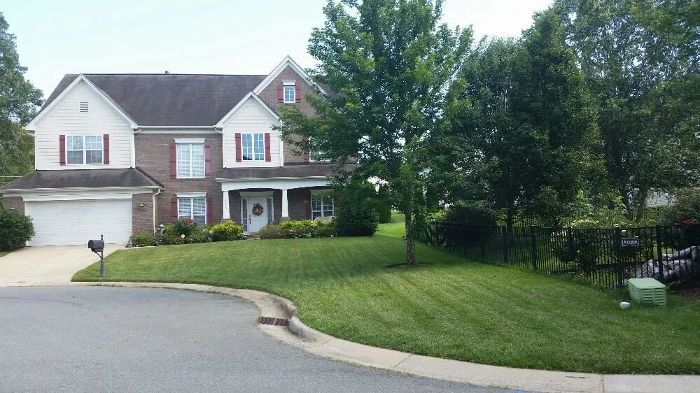 Trusted yard cleanup service experts serving Charlotte, NC - Grass Gatorz