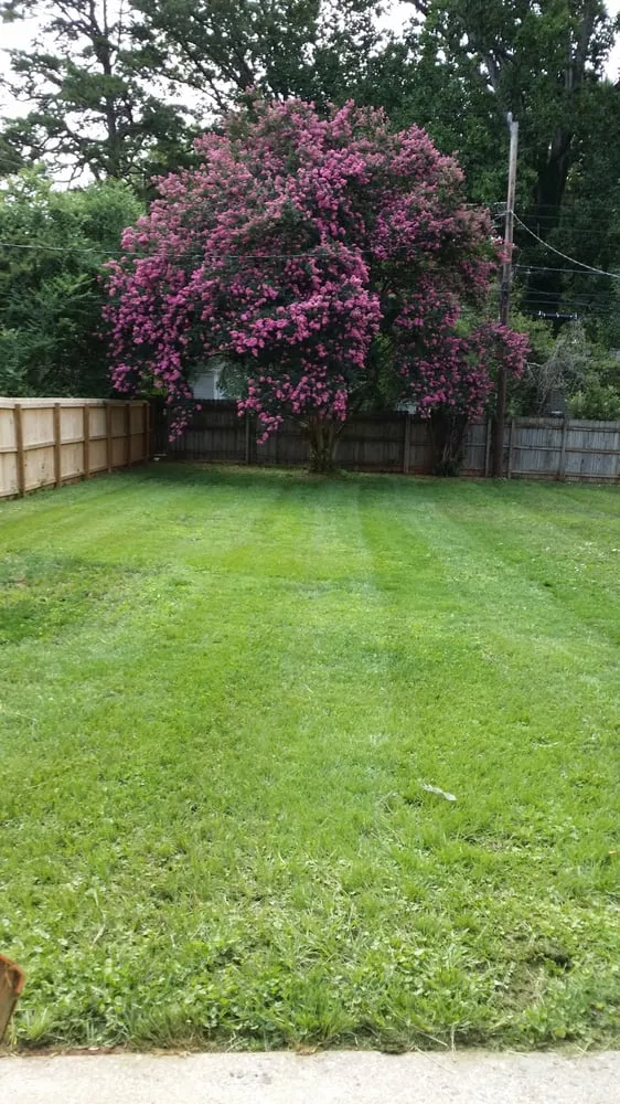 Top-rated residential landscaping for residential properties in Charlotte, NC by Grass Gatorz