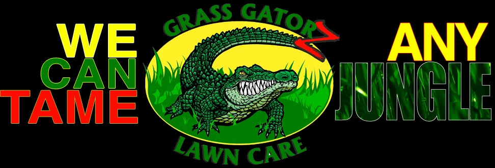 Affordable yard cleanup service in Charlotte, NC by Grass Gatorz
