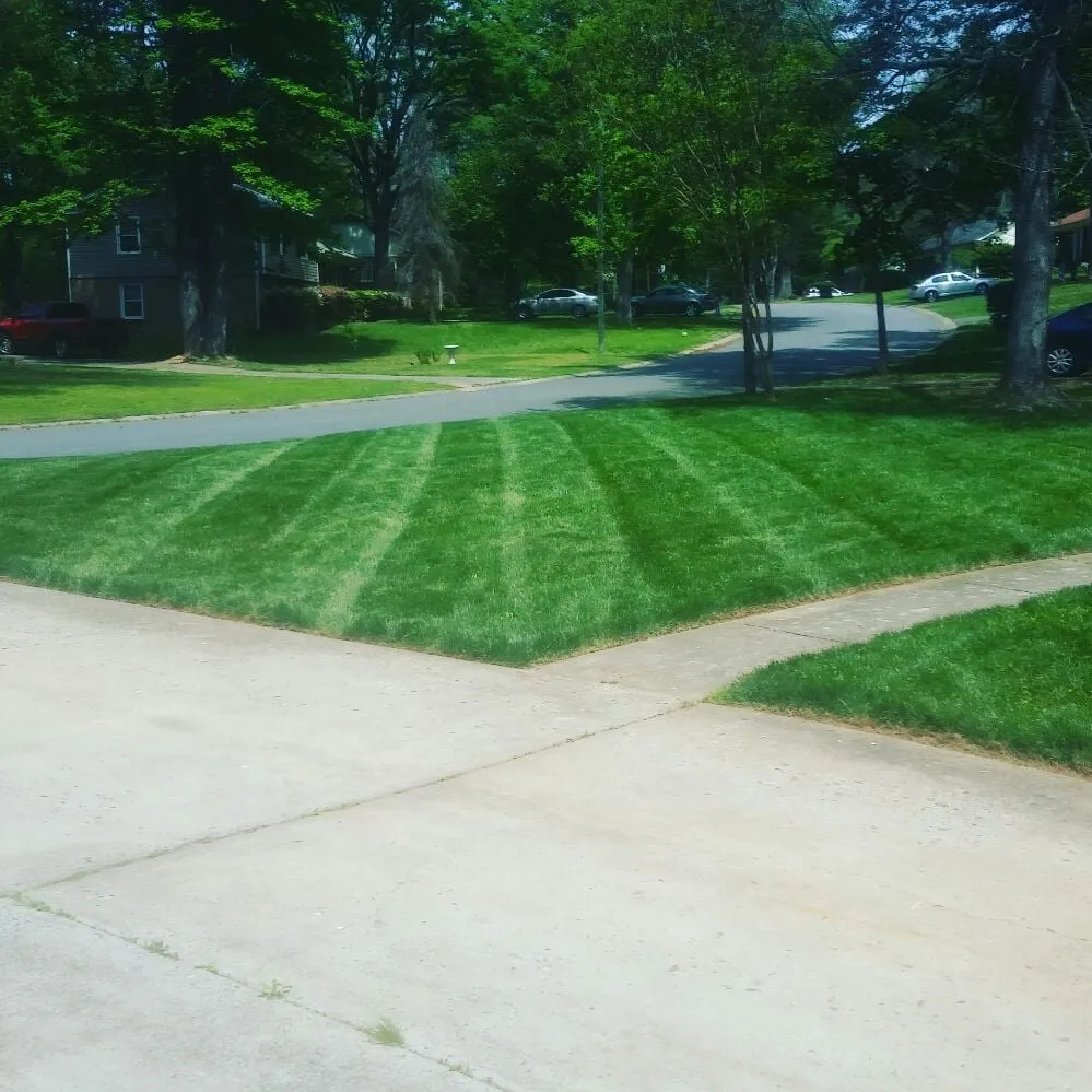 Expert lawn care service in Charlotte, NC - Grass Gatorz