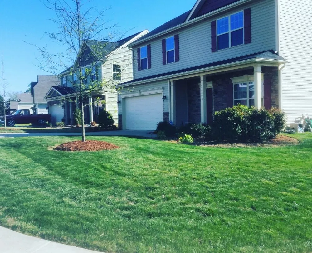 Trusted landscape design experts serving Charlotte, NC - Grass Gatorz