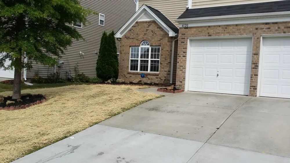 Expert landscape installation experts serving Charlotte, NC - Grass Gatorz