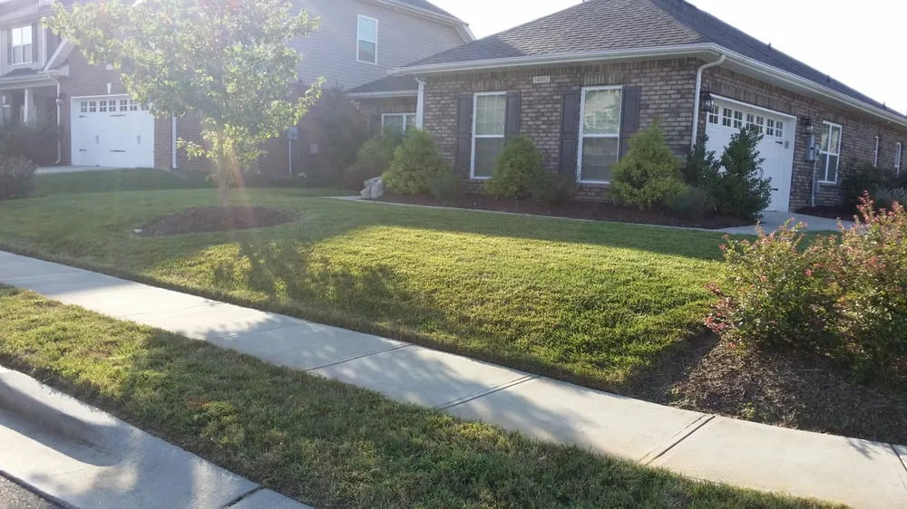 Professional residential landscaping in Charlotte, NC by Grass Gatorz