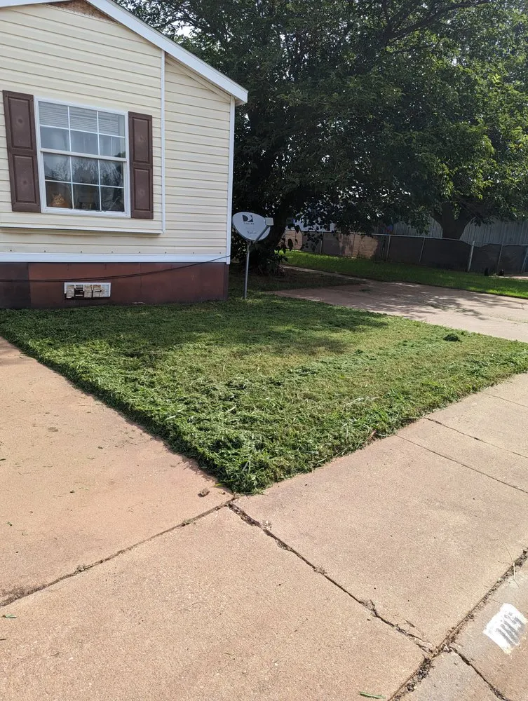 Top-rated landscape design for residential properties across Wichita Falls, TX - Grass Gecko